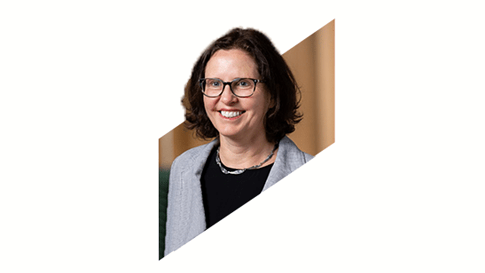 Biography headshot photograph of Dr Anne Verhagen